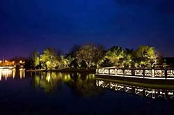 防疫抗疫,負(fù)重前行,太陽(yáng)能路燈廠家牛氣沖天,犇起來!!!